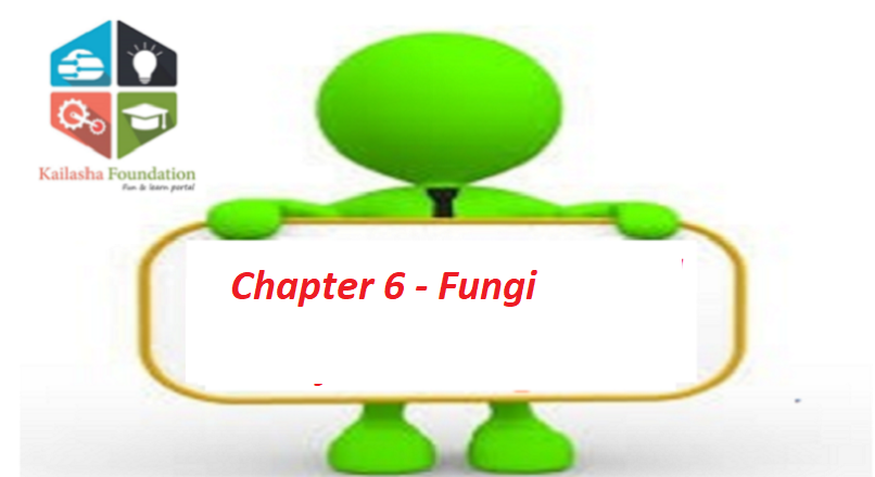 Chapter 7 – FUNGI Part II