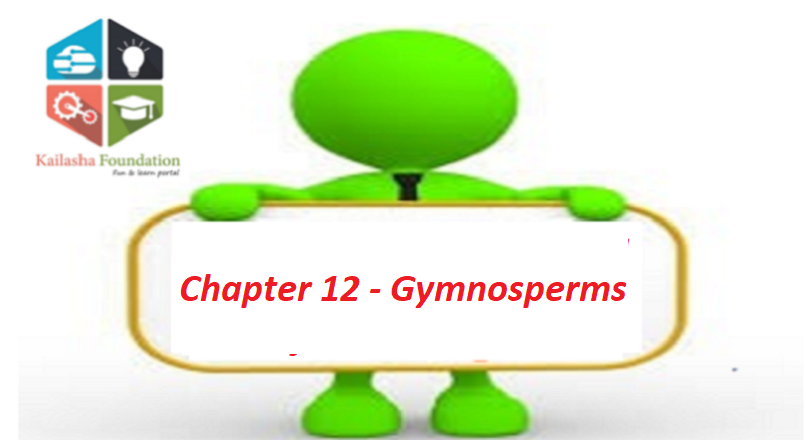 Chapter 12 – Gymnosperms