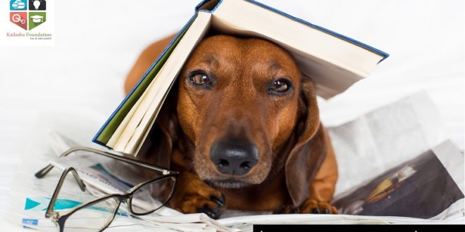 A book is a man's best friend, after a dog - Kailasha Online Learning LLP